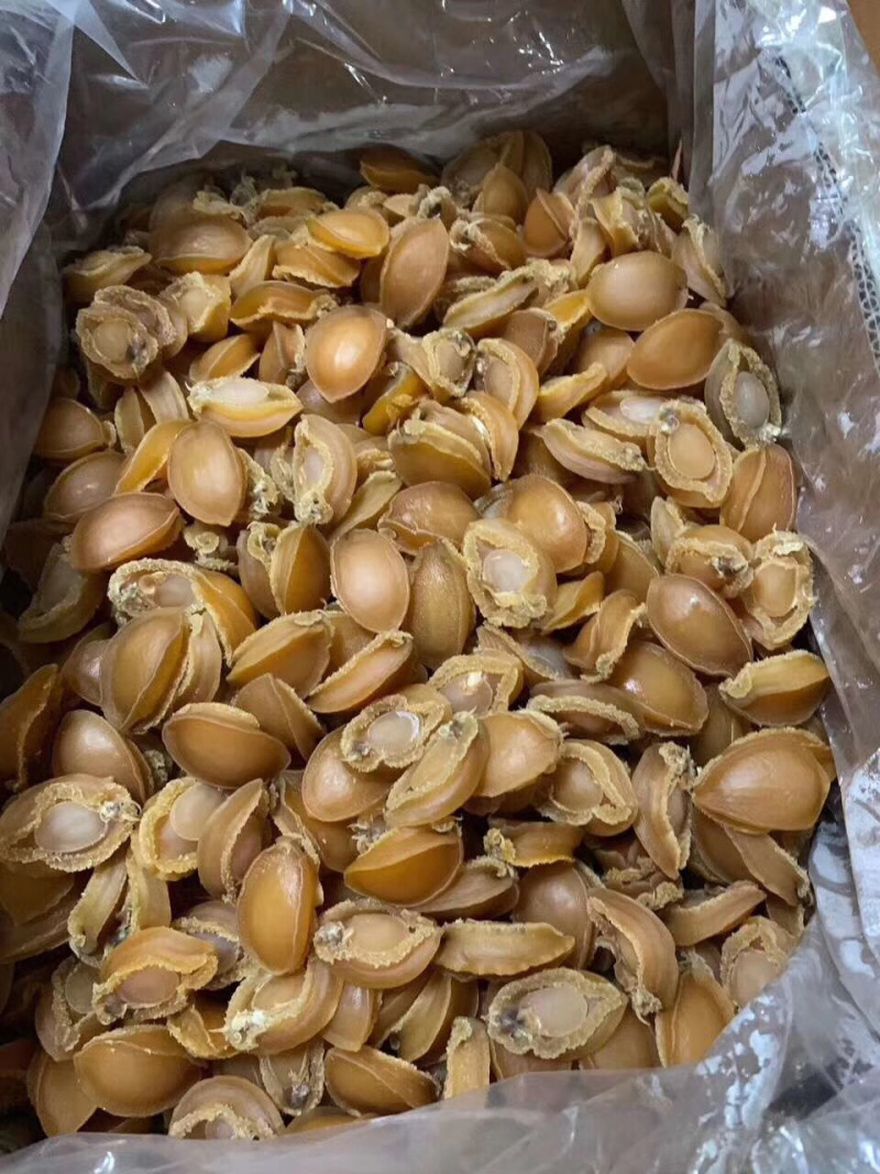鲍鱼干