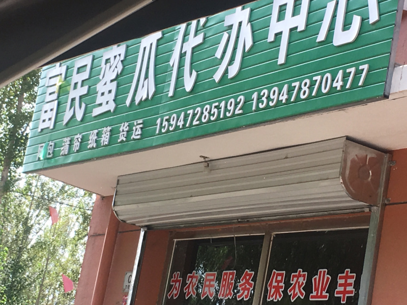 西州蜜熟了，抢购！抢购！