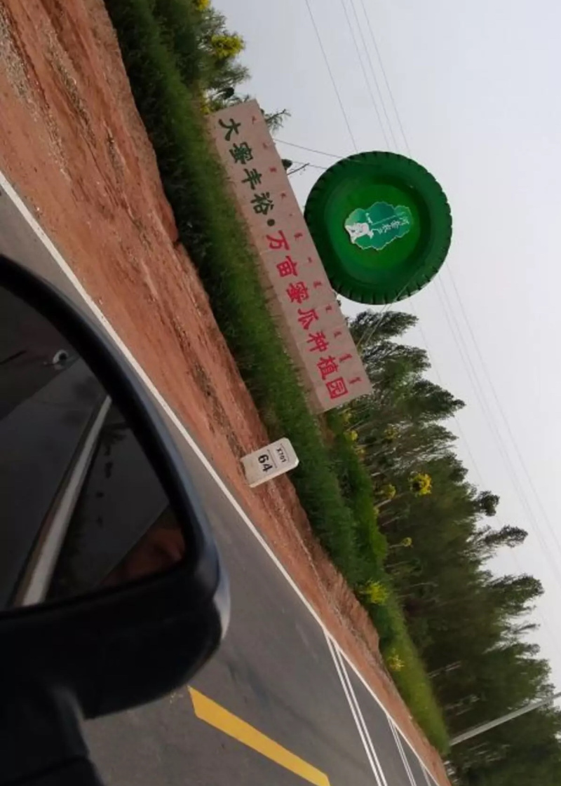 太甜了！西州蜜