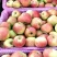 山西万荣早熟苹果🍎