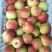 山西万荣早熟苹果🍎