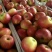 山西万荣早熟苹果🍎