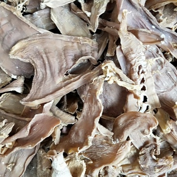 农家笋干笋丝自晒笋片干笋尖无硫0添加麻竹笋干笋丝干笋八渡