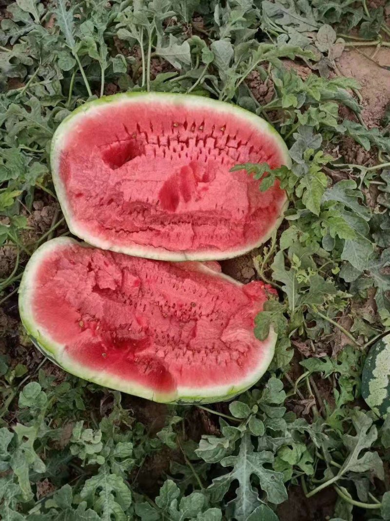 西瓜