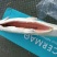 三文鱼块，整条，质量保证，价格优惠，欢迎垂询！
