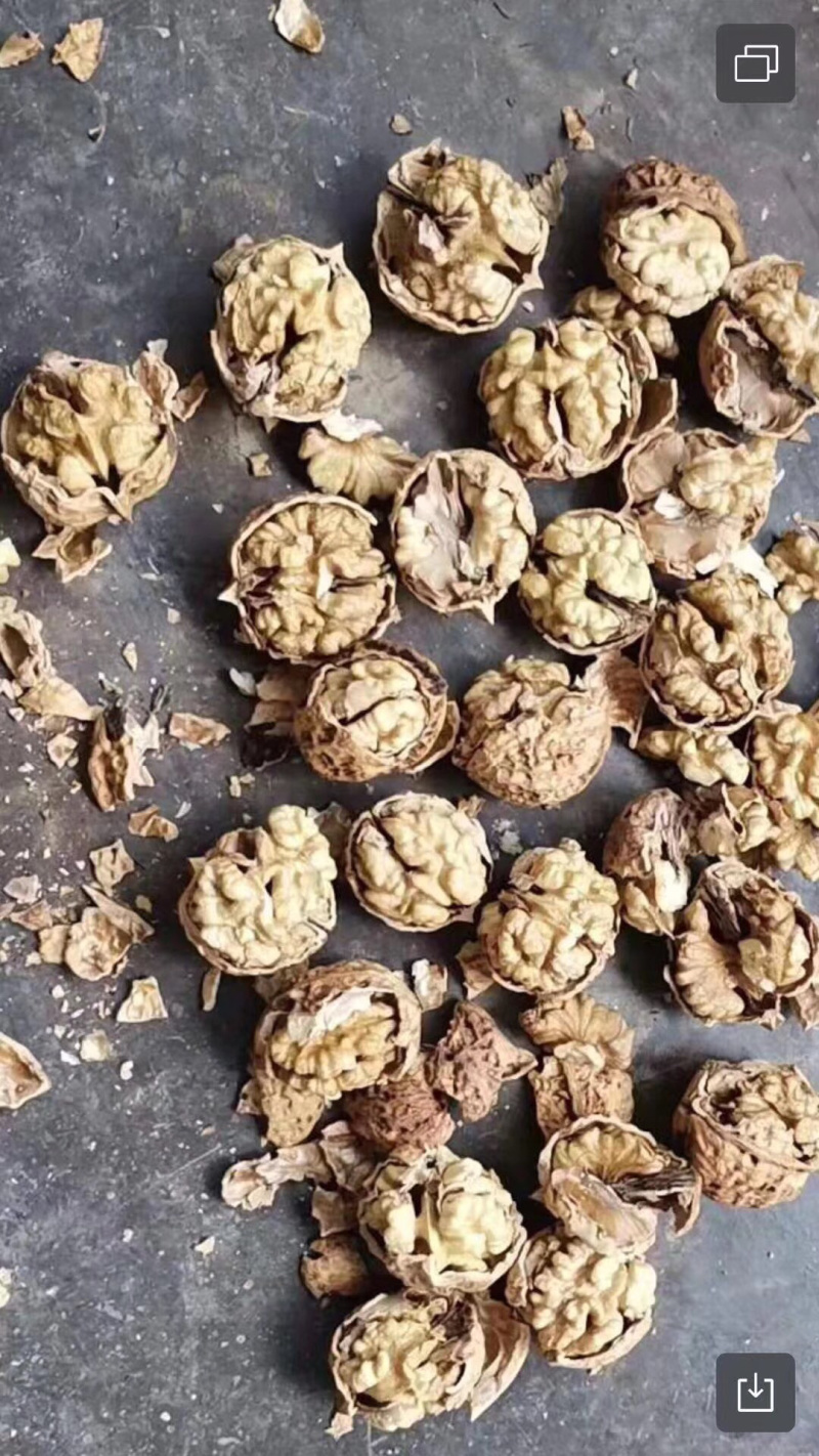 云南纸皮核桃薄皮核桃