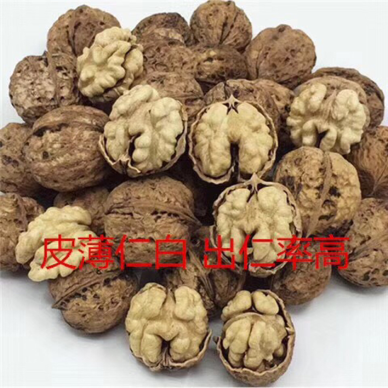 云南纸皮核桃薄皮核桃