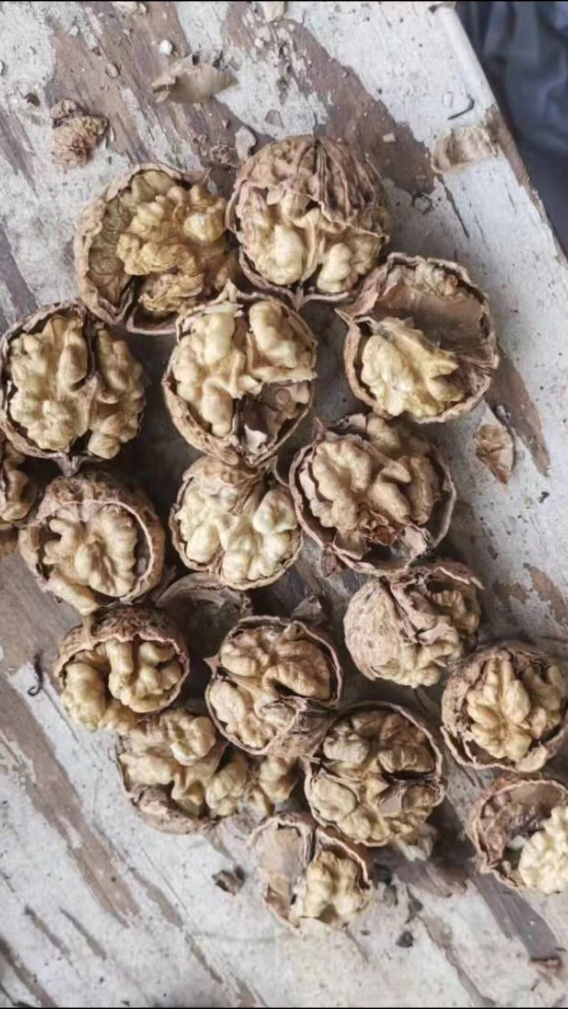 云南纸皮核桃薄皮核桃