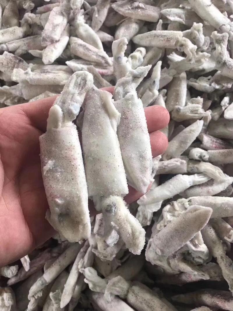 海兔，单冻，纯原料海兔和漂烫海兔，（10件起发货）