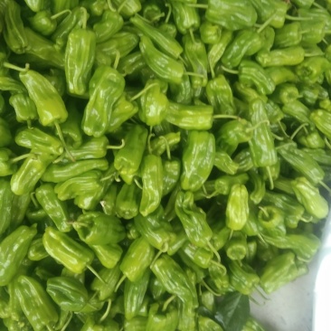 蔬菜