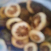 纯野生无公害
