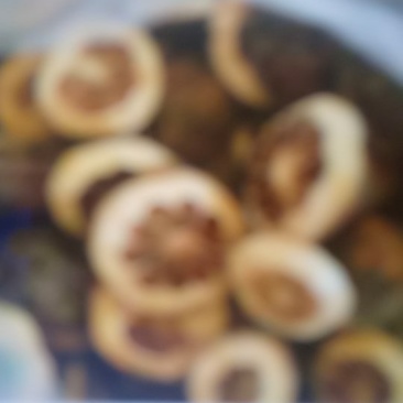纯野生无公害