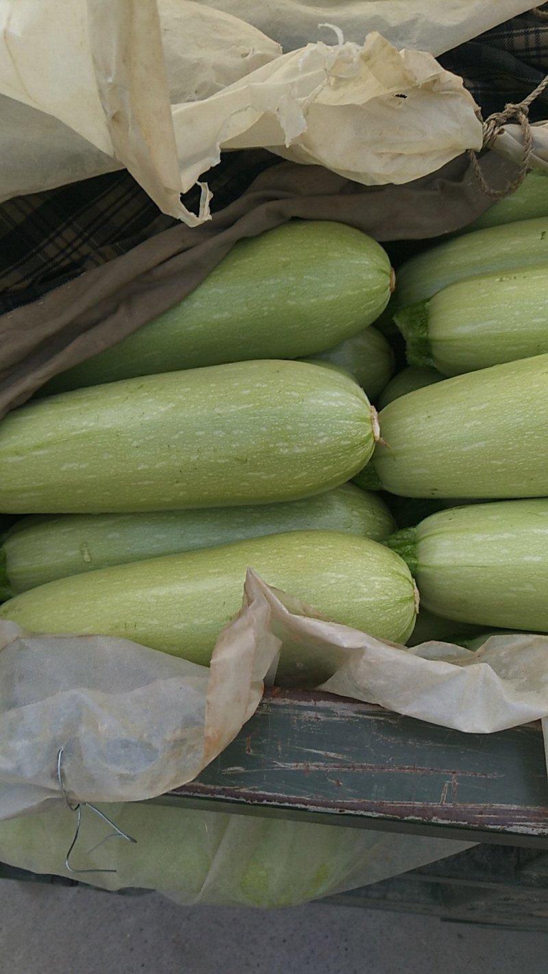 蔬菜