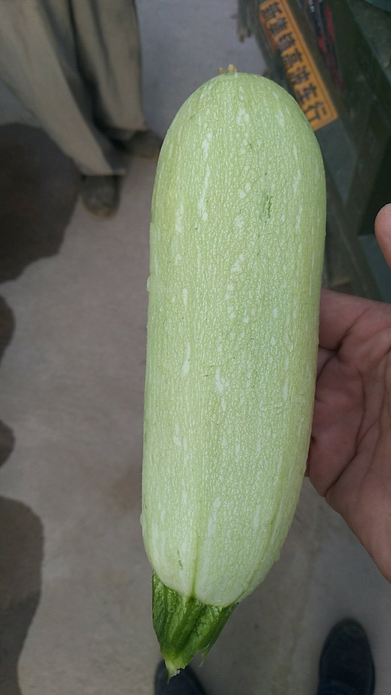 蔬菜