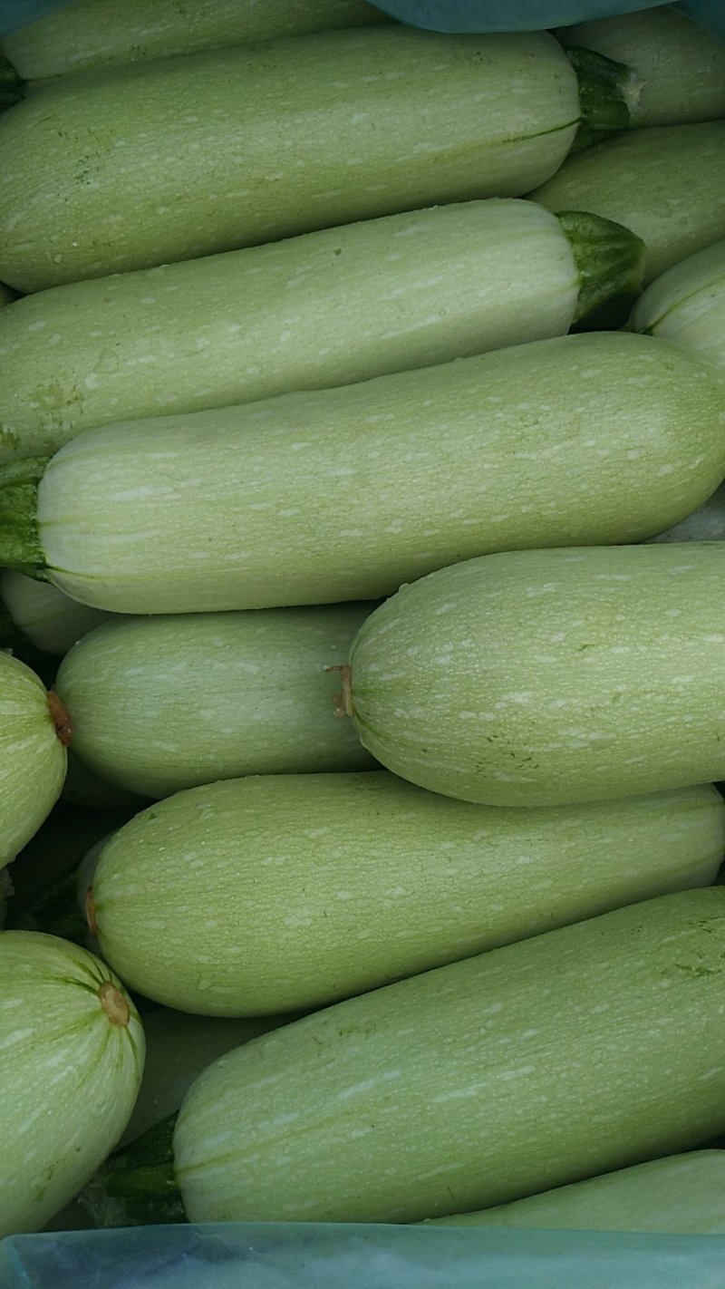 蔬菜