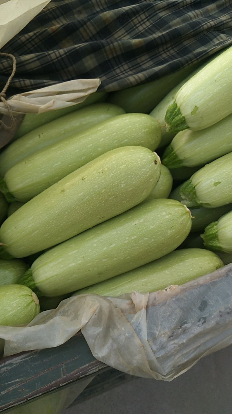 蔬菜