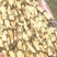 莲藕野藕粉藕