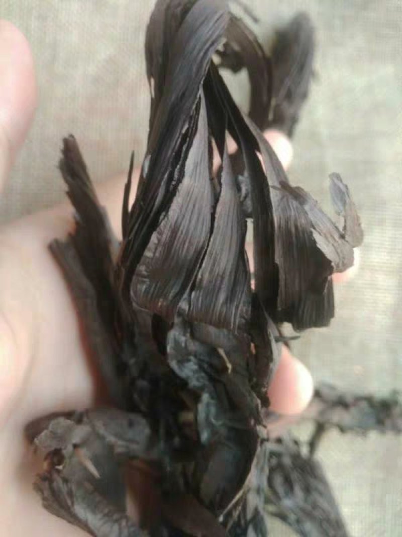 紫草干货硬紫草、软紫草红石根农家初选农副产品