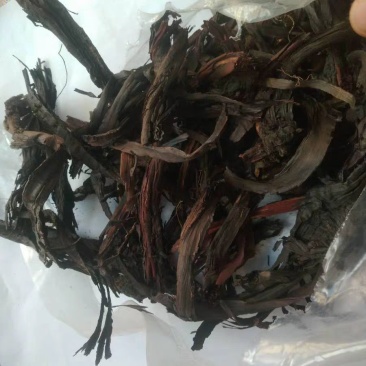 紫草干货硬紫草、软紫草红石根农家初选农副产品