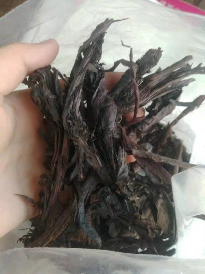 紫草干货硬紫草、软紫草红石根农家初选农副产品