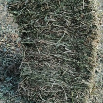 打捆花生秧：颜色质量如图，