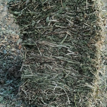 打捆花生秧：颜色质量如图，