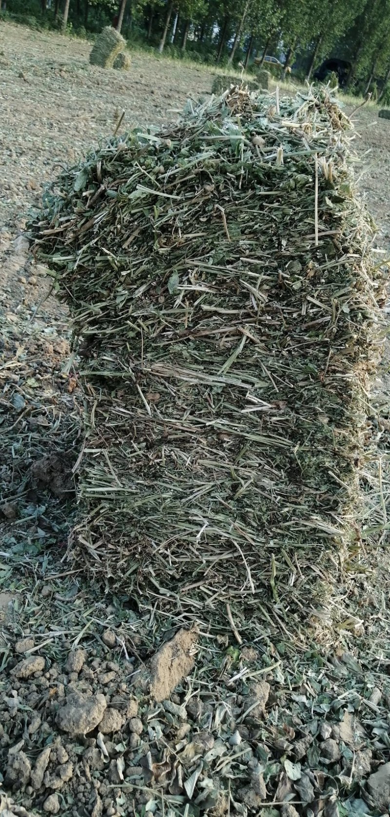 打捆花生秧：颜色质量如图，