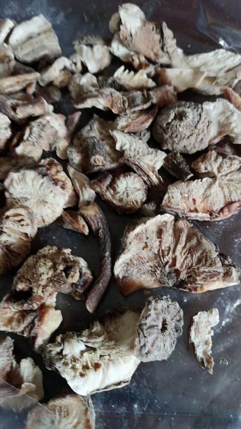 菊苣根干货玉兰根菊苣干菊苣片农家初选农副产品