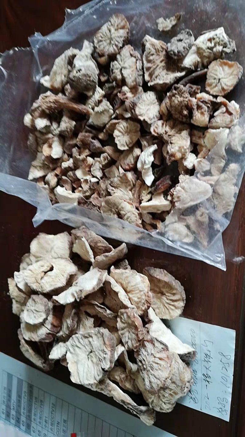 菊苣根干货玉兰根菊苣干菊苣片农家初选农副产品