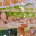 物流包邮美味越南精致盐焗味腰果仁九两装