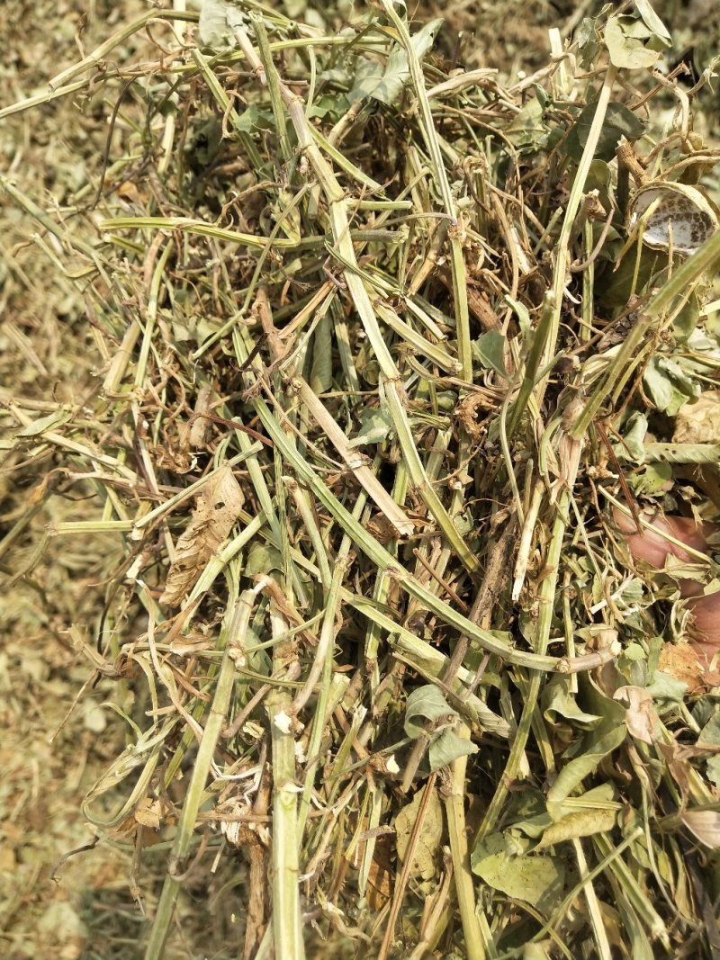 花生秧压块专业加工常年供货