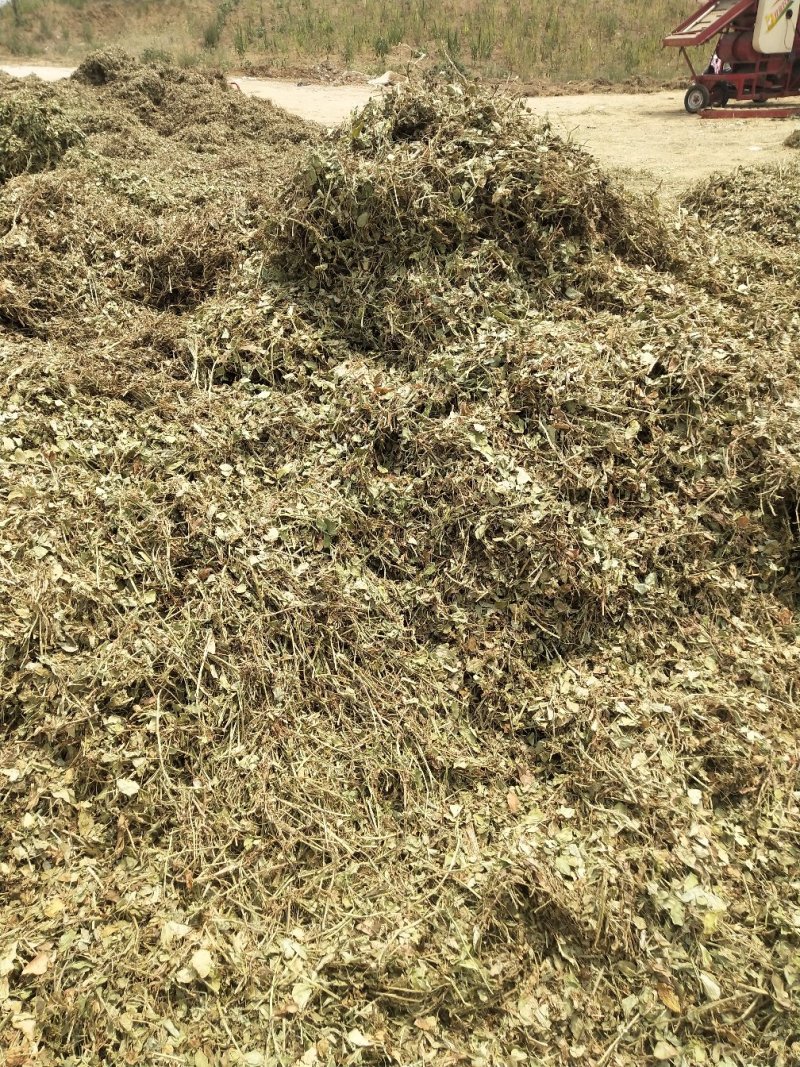 花生秧压块专业加工常年供货