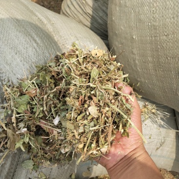 花生秧两次除土，全年供货