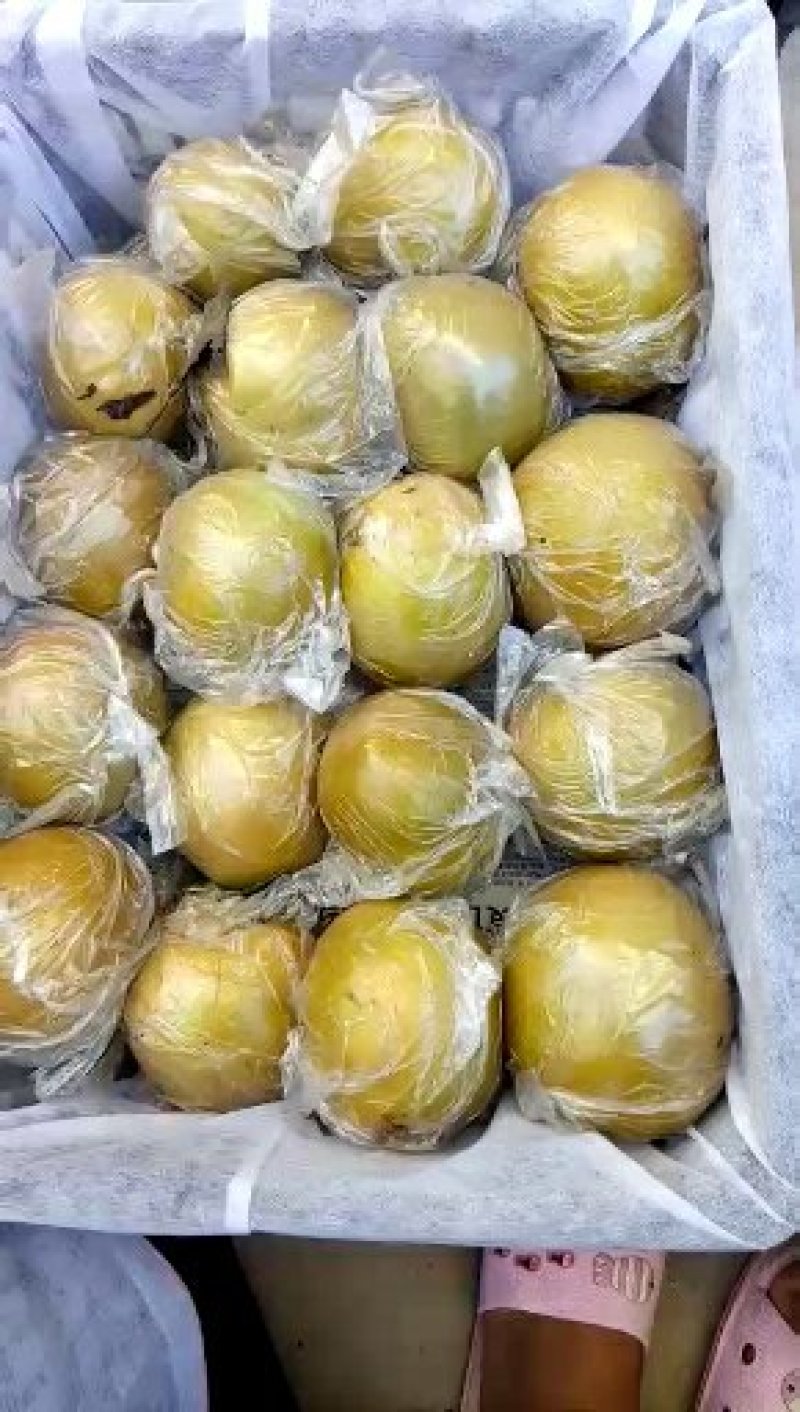 晚秋黄梨纸袋大量供应。一手货源。全国代发。诚信代办