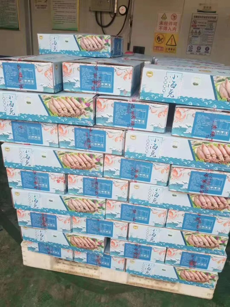 海兔鲜冻，单冻海兔，，笔管鱼