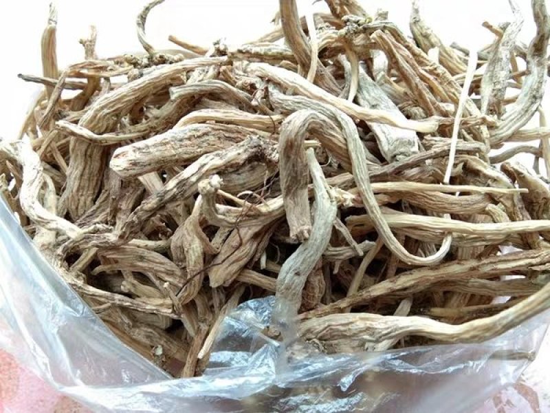 金铁锁根金铁锁/独钉子/独定子/对叶七/蜈蚣七