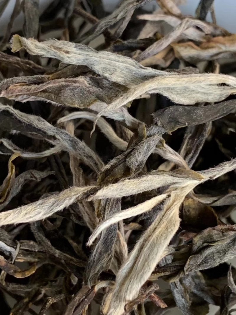 布朗山纯料古树茶