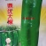 大将军118/鼎优大椒/墨秀三号/鼎优国美/鼎优8号辣椒