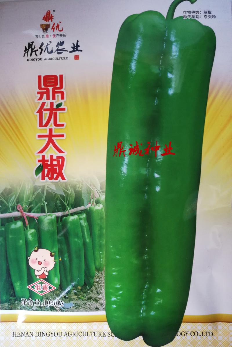 大将军118/鼎优大椒/墨秀三号/鼎优国美/鼎优8号辣椒