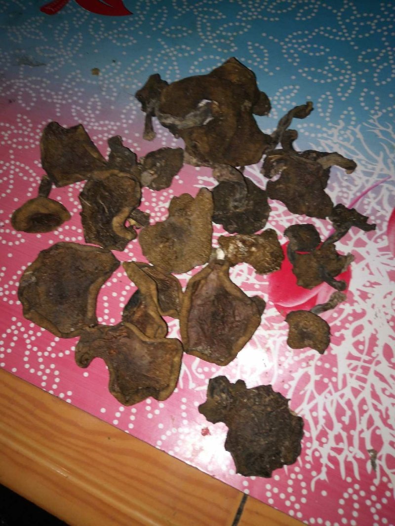 手挑干净松蘑，自然干无虫货需要的联系我吧