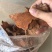 菝葜拔葜薄片农家初选农副产品中药材111