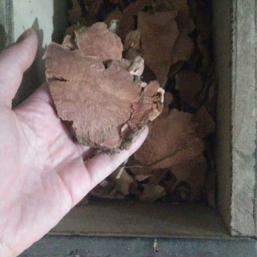 菝葜拔葜薄片农家初选农副产品中药材111