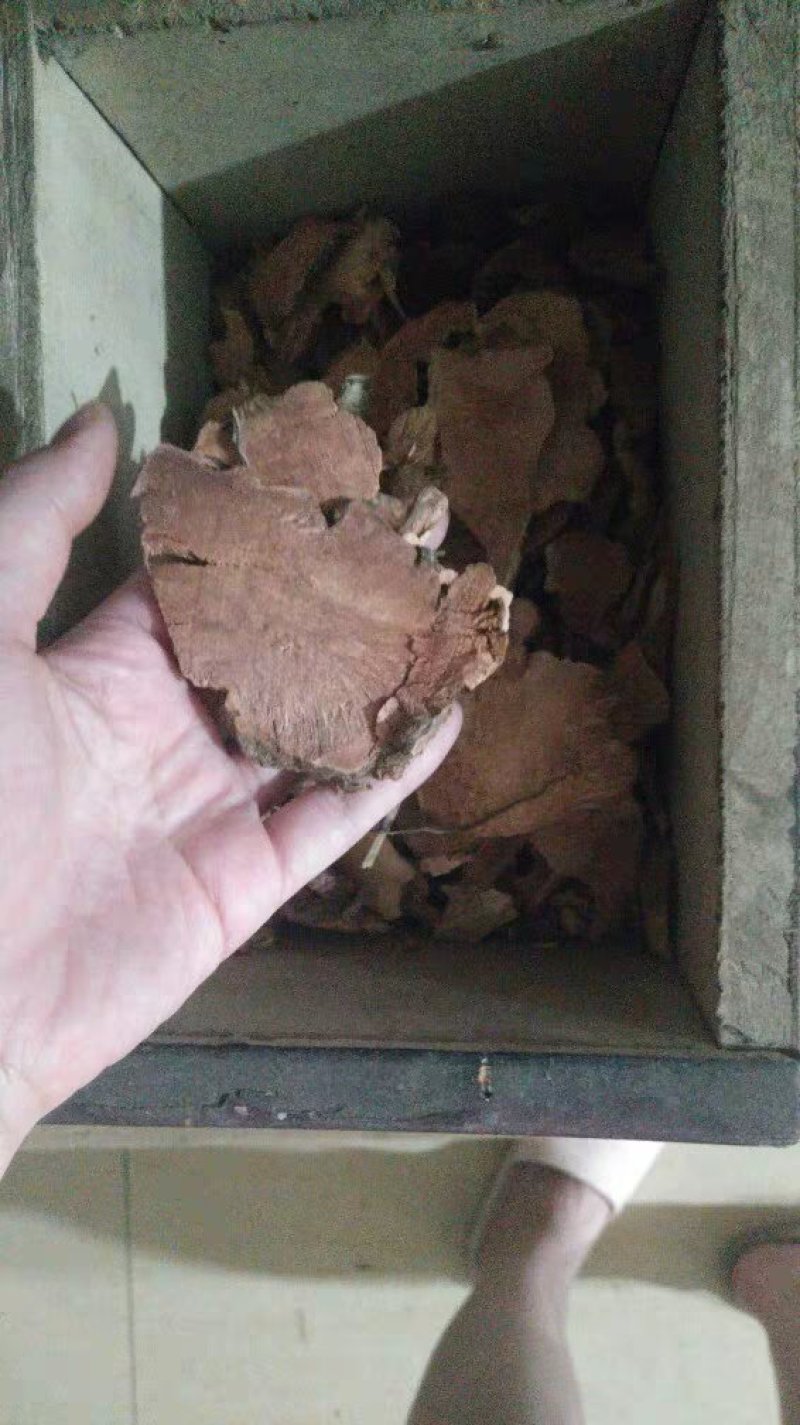 菝葜拔葜薄片农家初选农副产品中药材111