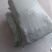 特种养殖，金蝉养殖，技术全包，可长期合作