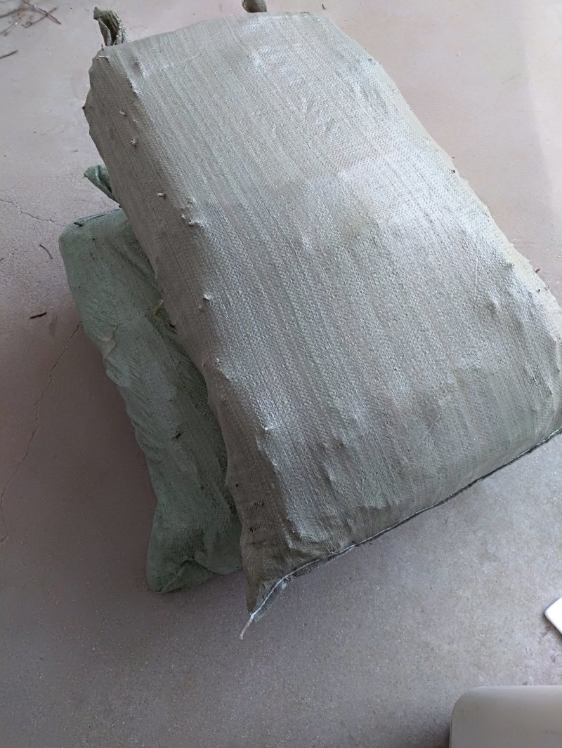 特种养殖，金蝉养殖，技术全包，可长期合作