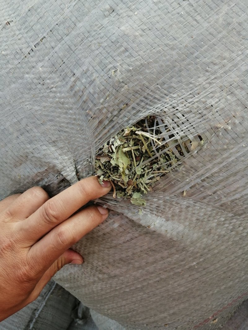 2019年新花生秧过滚筒筛