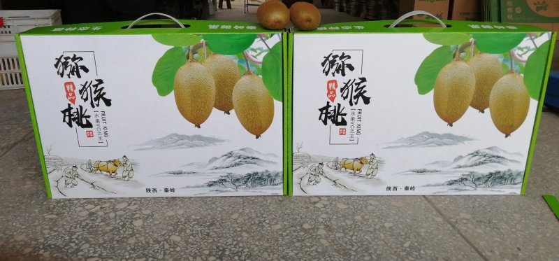 陕西秦岭山优质徐香猕猴桃
