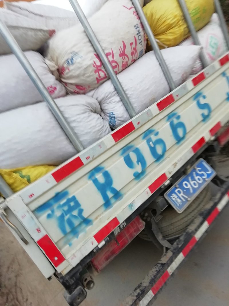 花生果通货四百亩，有需要的赶快了