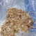 薤白两斤包邮薤白野薤野葱薤白头野白头菜芝野蒜