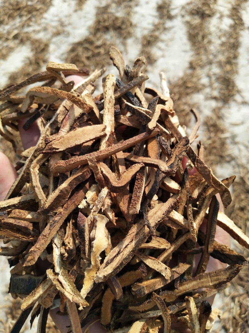 干净无硫橘红丝包过检干度十足产地直销量大价优